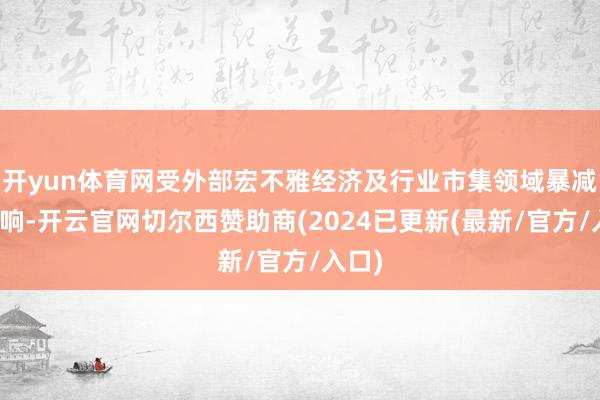 开yun体育网受外部宏不雅经济及行业市集领域暴减等影响-开云官网切尔西赞助商(2024已更新(最新/官方/入口)